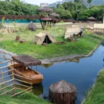 Zoológico do Rio reabre ao público nesta quinta após mortes de aves