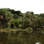Concurso de Fotografia integra programação do Dia Mundial da Limpeza