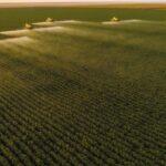 Safra recorde no agronegócio: bom momento traz desafio da gestão financeira estratégica ao setor