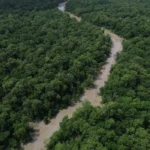 Programação do Dia da Amazônia mobiliza para COP30
