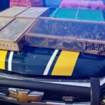 Homem é preso com mais de 1 mil aves silvestres no RJ; 180 morreram