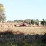 Defesa de fazendeiros em Goiás contesta decisão sobre quilombolas