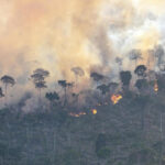 Mesmo com queda nos alertas de desmatamento na Amazônia em agosto, imagens do Greenpeace Brasil flagram fogo e devastação