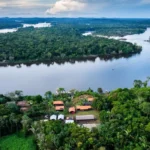 BNDES lança edital voltado para recuperação da floresta amazônica
