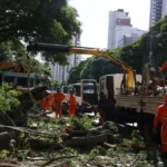 Volta a subir em São Paulo o número de clientes sem energia