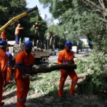 Após ventania, São Paulo tem 1,5 milhão de clientes sem energia