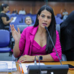 Assembleia aprova projetos voltados à economia, sustentabilidade e serviços públicos