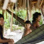 Brasil lidera número de povos isolados, mas há lacunas na proteção