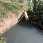 Quilombo em Cabo Frio denuncia despejo de esgoto na comunidade