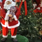 Hoje é Dia: Natal, ecologia e Cristina Buarque são destaques