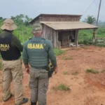 PF prende suspeito de assassinato de parceiro do Ibama na TI Apyterewa