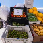 Prefeitura inicia entrega de 76 toneladas de alimentos do PAA, beneficiando agricultores e instituições sociais