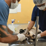 Exposição celebra primeiro ano de atendimento do programa da ALERR