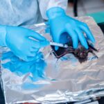 Aderr reforça ações de monitoramento de zoonoses em comunidades indígenas de Roraima