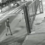 Cachorro é morto com dez tiros em frente a ponto de ônibus em SP