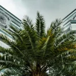 PF adia depoimentos de três investigados no inquérito do Banco Master