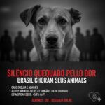 SILÊNCIO QUEBRADO PELO DOR: O Brasil Diante de uma Epidemia de Crueldade Contra Animais