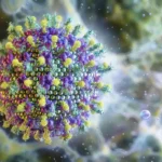 Nipah: saiba mais sobre o vírus que preocupa a Ásia