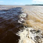 Naufrágio no Amazonas deixa dois mortos e sete pessoas desaparecidas