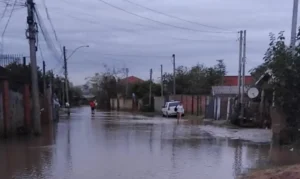 whatsapp image 2025 06 26 at 18.33.36